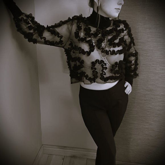 Zara Tops - VISUALLY Daring Nearly New sheer ZARA long sleeve SZ L